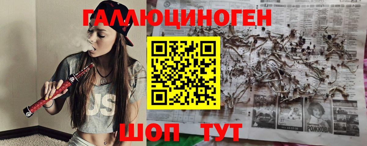 Санкт-Петербург  Псилоцибиновые грибы MAGIC MUSHROOMS  Вход с VPN  Галлюциногенные грибы мухоморы 
