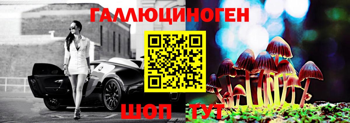 Галлюциногенные грибы Psilocybine cubensis Санкт-Петербург